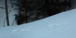 2015-02-14_Kranzberg (372)b.JPG